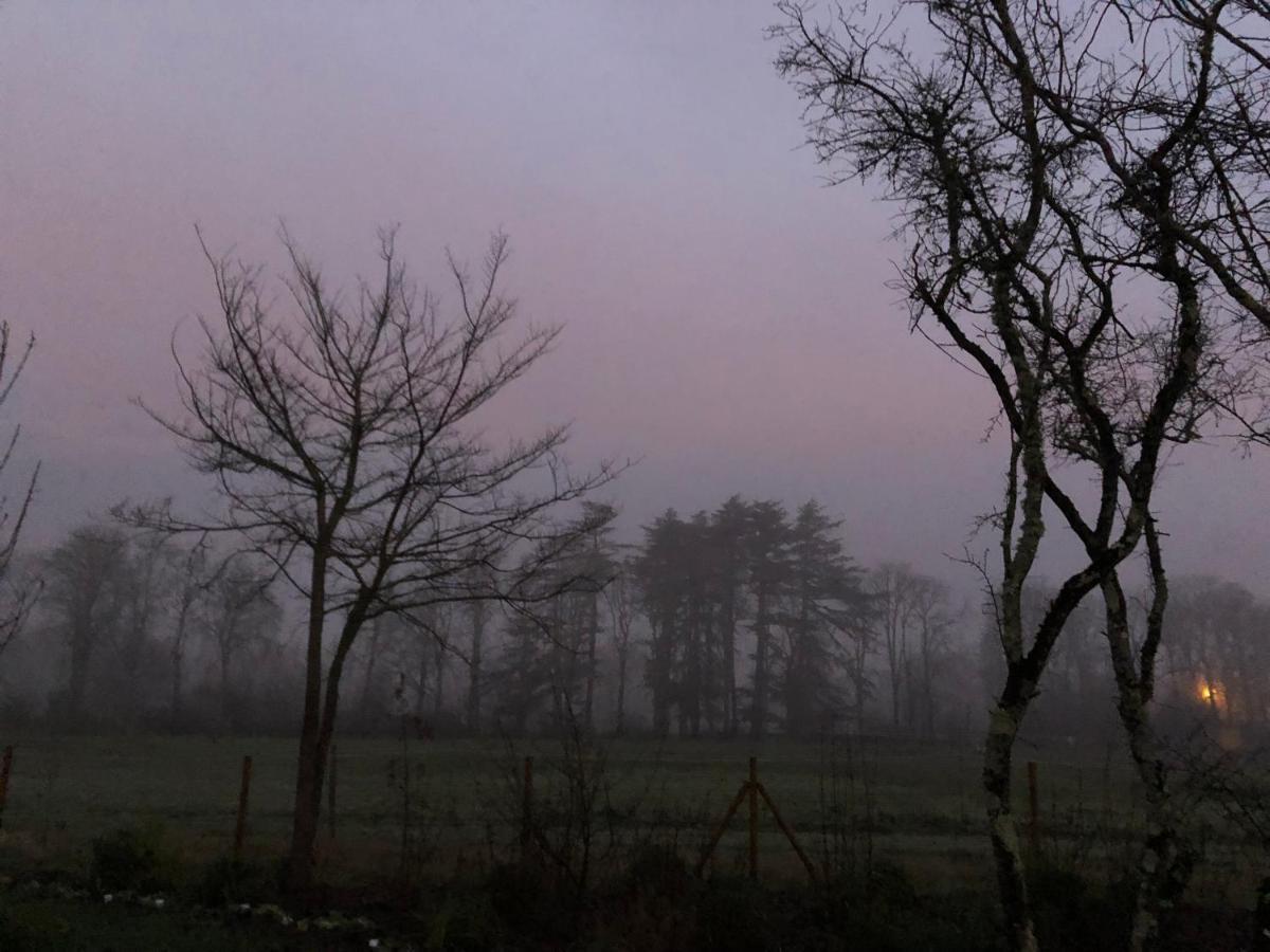 Le Bois Des Chambres Chaumont-sur-Loire Exteriér fotografie