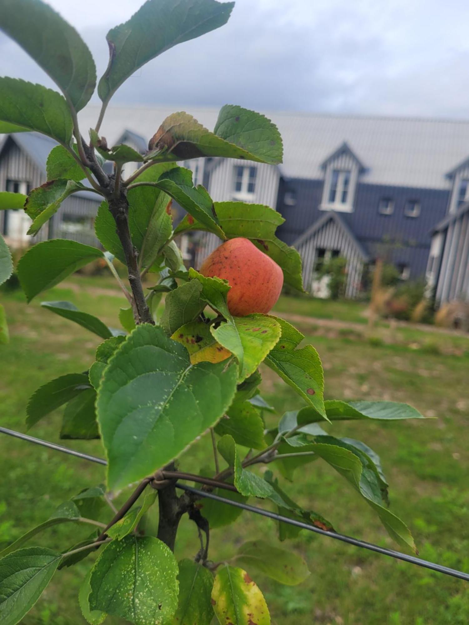 Le Bois Des Chambres Chaumont-sur-Loire Exteriér fotografie